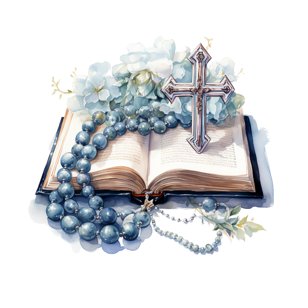 850 Grace Bible study